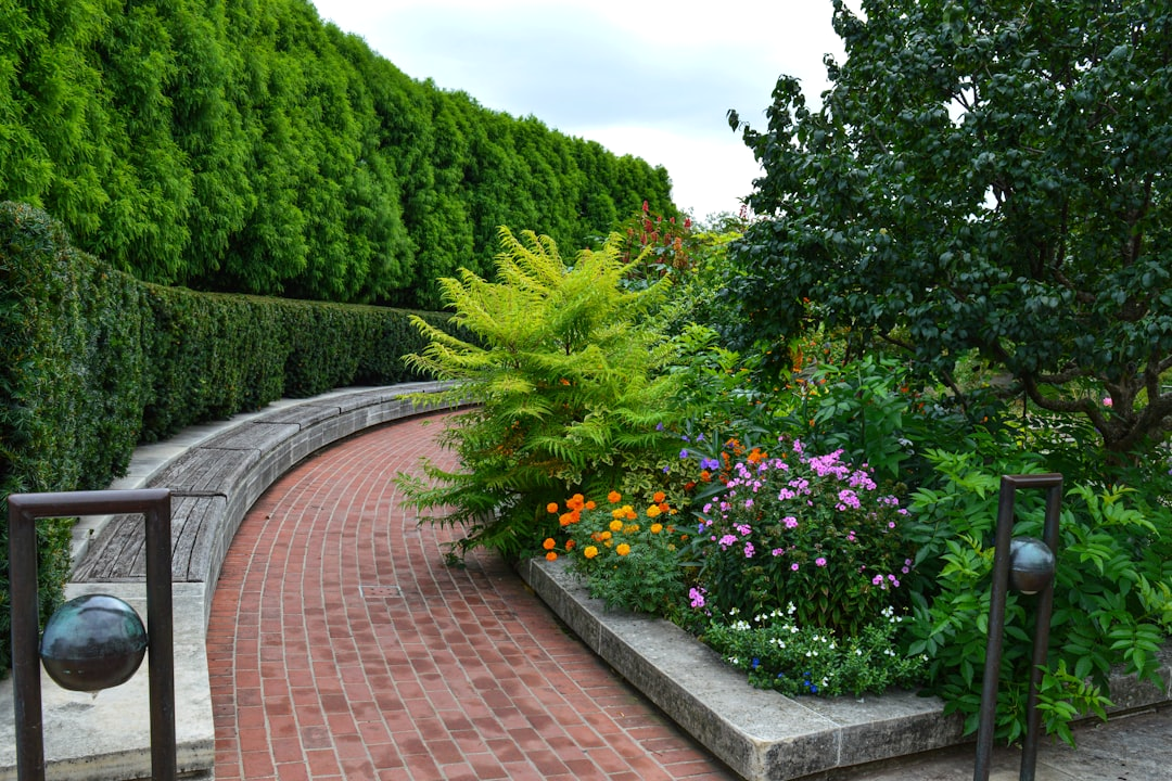 Gartengestaltung und Planung