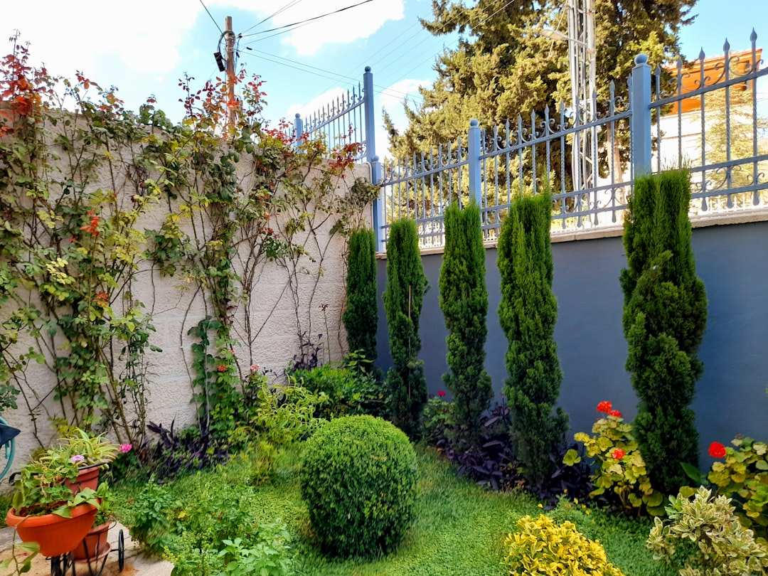 Professionelle Gartenpflege